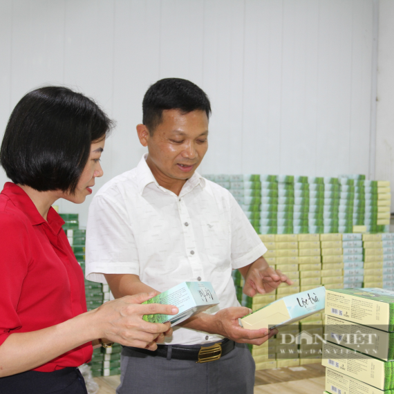 Trà Việt Thái: Nâng Tầm Giá Trị Trà Xanh Thái Nguyên